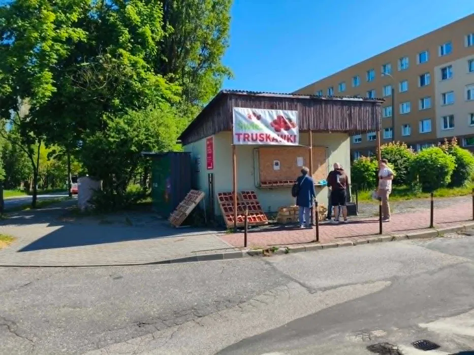 Lokal handlowo-usługowy z ogródkiem w Gdańsku Matarni